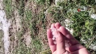 sahit -  Amasya’da etkili olan dolu tarım arazilerini vurdu Videosu