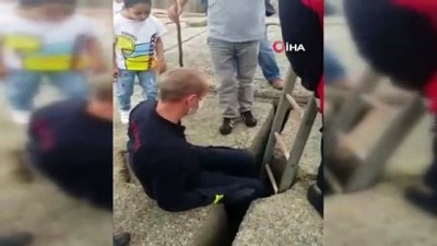  Dalgakıranların arasına sıkışan kirpiyi itfaiye ekibi kurtardı