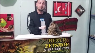  Dükkânına biri taş attı zannetti, gerçeği görünce çok şaşırdı