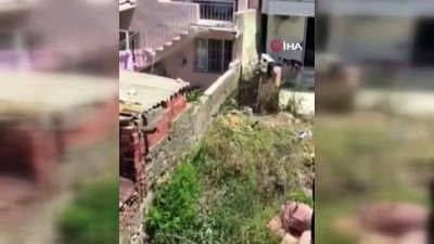 demir cubuk -  İzmir'de köpeğe şiddet görüntüleri tepki çekti Videosu