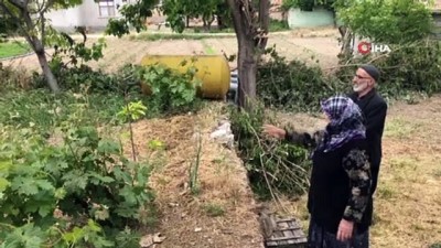 mustakil ev -  Konya’da 65 yaş üzeri vatandaşlar vakitlerini bahçelerinde geçiriyorlar Videosu