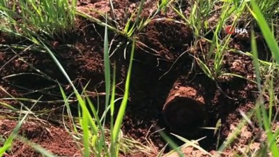 mayinli arazi -  Özel Mayın Arama Temizleme Timleri mayınlı arazileri şiş ve dedektörle arayarak mayınların tespitini sağlıyor Videosu
