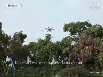 Çekirgelerle Mücadelede Drone’lar Devrede