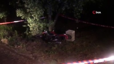 zeytin agaci -  Motosikletle domuza çarpan vatandaş hayatını kaybetti Videosu