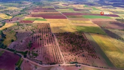 yol calismasi -  Şahinbey'de tarımsal kalkınmaya tam destek Videosu
