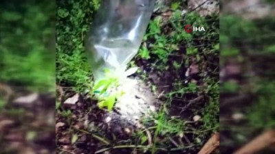 jandarma baskini -  Bahçede pet şişe ile yetiştirilen kenevir bitkisine jandarma baskını Videosu