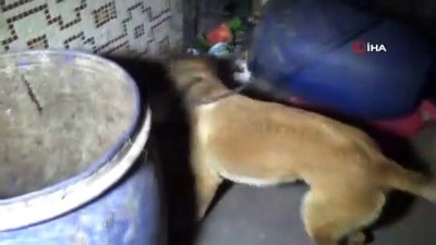  Bursa’da Dron destekli 2 bin 500 polisle şehit Erman Özcan operasyonu