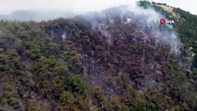 helikopter -  Muğla Milas’ta orman yangını Videosu