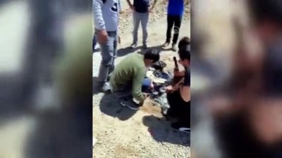 keci - Alanya'da yol yapımı için dökülen zifte yapışan oğlak kurtarıldı - ANTALYA Videosu