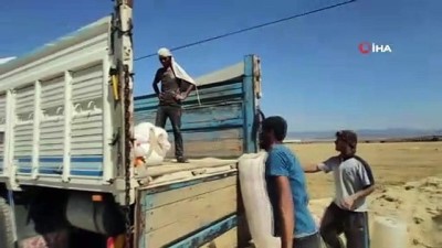 helal -  Gaziantep’in İslahiye ilçesinde saman satışı başladı Videosu