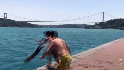 gunesli hava - Gençler boğaz sularında serinledi - İSTANBUL Videosu