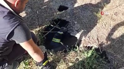 mahsur kaldi -  Mahsur kalan yavru köpeği itfaiye ekibi kurtardı Videosu