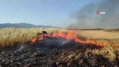 aniz yangini -  Buğday tarlasındaki anız yangını korkuttu Videosu