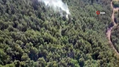 helikopter -  Antalya'da orman yangını büyümeden söndürüldü Videosu