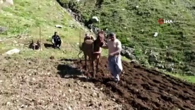  Bingöl'de zorlu tarla mesaisi