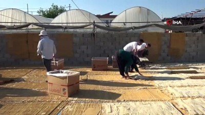 kemik erimesi -  Kahramanmaraş'ta çorbalık ve cips tarhana üretimi başladı Videosu