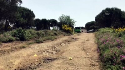 Sultangazi'deki kent ormanında erkek cesedi bulundu - İSTANBUL