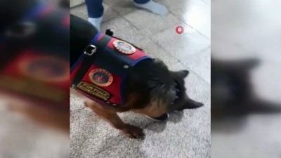  Yol kontrolünde aranan yolcunun ayakkabısının altından uyuşturucu çıktı