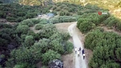 kinali -  Aydın’da 750 keklik doğaya bırakıldı Videosu