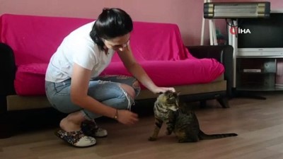  Engelli kediye “Umut” oldular