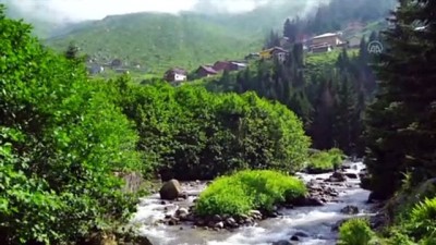 yesil yol - Kaçkar Dağları'nın büyüleyen güzelliği: Bulut Denizi - RİZE Videosu