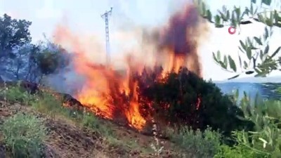  Manisa’da orman yangını