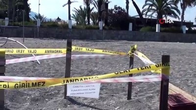 a haber -  Pandemi döneminde boşalan sahiller Caretta Caretta'lara kaldı Videosu