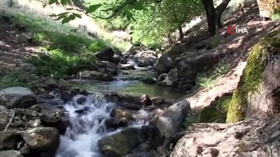habur -  Sıcaklar bastırdı gençler su kenarına koştu Videosu