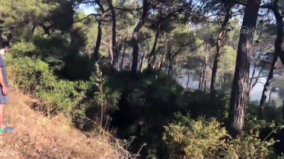 helikopter - Heybeliada'da orman yangını (2) - İSTANBUL Videosu