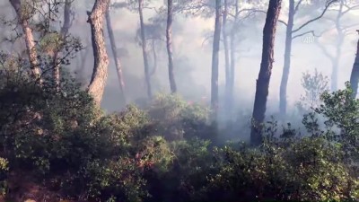 helikopter - Heybeliada'da orman yangını (4) - İSTANBUL Videosu