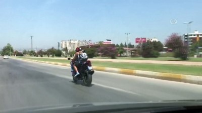 gunes gozlugu - Motosikletlinin çantasındaki güneş gözlüklü köpek ilgi odağı oldu - ANTALYA Videosu
