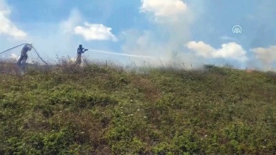 helikopter - Tuzla'da ormanlık alanda çıkan yangın söndürüldü - İSTANBUL Videosu