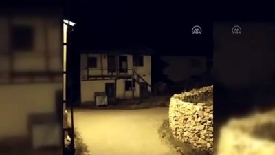 cop konteyneri - Aç kalan ayı köyde yiyecek aradı - SİVAS Videosu