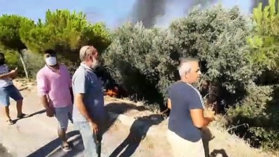 Bodrum'da yerleşim yeri yakınında çıkan yangın söndürüldü - MUĞLA