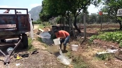 olimpik havuz -  Çocukların 'römork havuz' keyfi Videosu