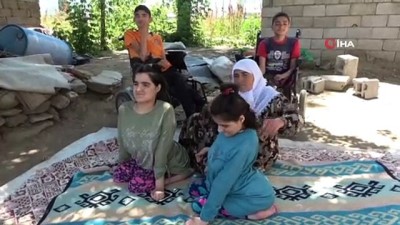 engelli cocuk -  - Fedakar ağabeyler hayatlarını 5 engelli kardeşine adadı Videosu