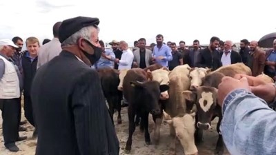 akilli telefon - 'TÜRKVET mobil' ile kurbanlıkların bilgileri cep telefonlarına gelecek - ERZURUM Videosu