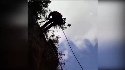 keci - Uçurum kenarında mahsur kalan keçileri itfaiye kurtardı - MERSİN Videosu