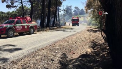 helikopter -  Saros’da ormanlık alandaki yangın kontrol altına alındı Videosu