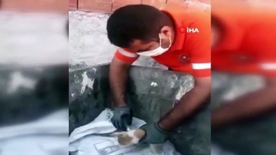 cop kutusu -  Temizlik ekipleri ipe dolanmış yavru kediyi kurtardı Videosu