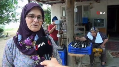 bicakcilik -  Antalya'nın kadın bıçakçıların Kurban Bayramı mesaisi Videosu