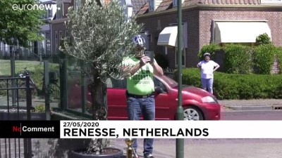 robot - Bahşiş konusu henüz netleşmedi: Hollanda'da bir restoranda robot garson dönemi Videosu