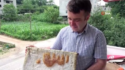  Arıların işlediği 'Allah lafzı' şaşırttı
