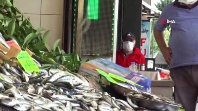 amator balikci -  Balık az olunca fiyatlar cep yakıyor Videosu