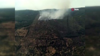 helikopter -  Aydın’daki orman yangını havadan görüntülendi Videosu