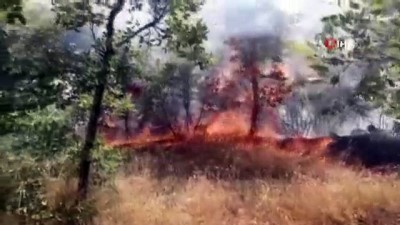  Diyarbakır’da ağaçlık alanda yangın, 300 dönümlük alan kül oldu