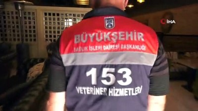  - Restoranlardaki artık yiyecekler sokak hayvanlarına gidecek