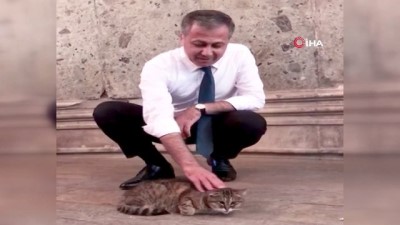  Vali Yerlikaya Ayasofya'nın meşhur kedisiyle ilgilendi