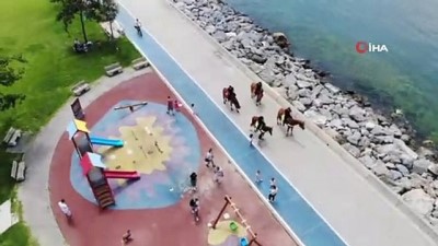 polis ekipleri -  Bostancı Sahili atlı devriyeye emanet Videosu