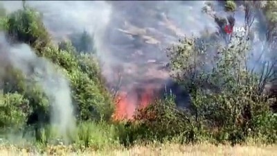  Elazığ’da 2 gün süren orman yangını söndürüldü